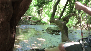 cpil  GIF