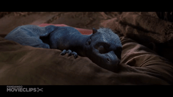 hadam10rose cute baby dragon eragon saphira GIF