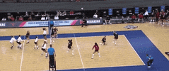 Volleyball Texas GIF by NCAA Championships