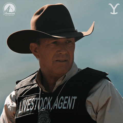 Kevin Costner Point GIF by Yellowstone