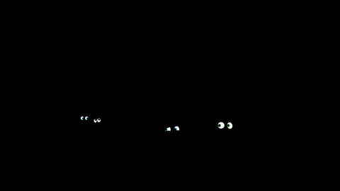 Stockdunkel GIFs - Get the best GIF on GIPHY