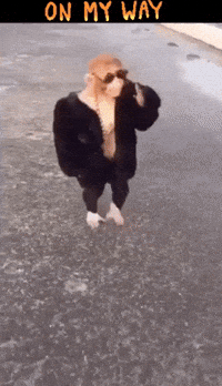 My Dreams Are Finally Coming True Gifs Get The Best Gif On Giphy My Dreams Are Finally Coming True Gifs Get The Best Gif On Giphy