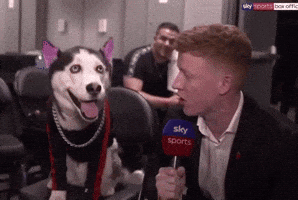 Dog What GIF by SWAGGY WOLFDOG