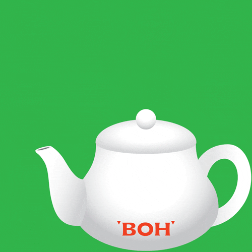 tea time singing GIF by BOH Tea