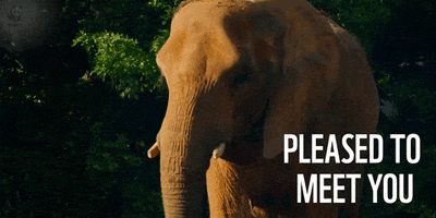 pleased to meet you hello GIF by WWF_UK
