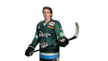 Bietigheim Steelers Sticker