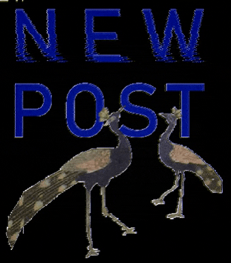lekh_haq GIF