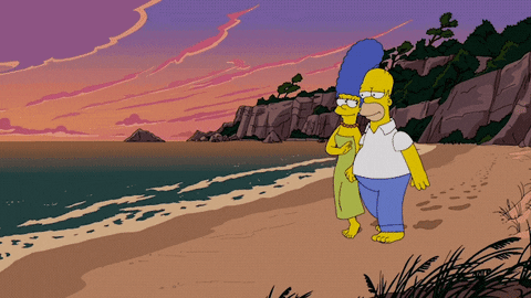 Homer Simpson Beach GIF by Fox TV