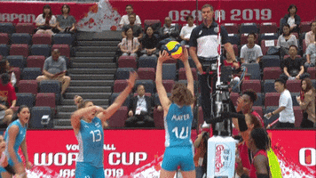 Argentina Hit GIF by Volleyball World