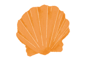 Shell Concha Sticker by Água Doce Praia