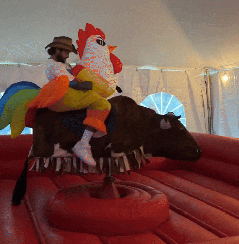 Party Summer GIF by Belligerent Bermuda