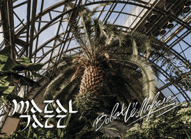 August GIF by Russian Music Seasons