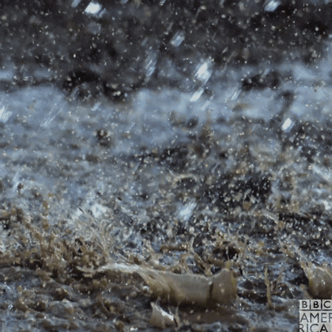 Natures Great Events Rain GIF by BBC America