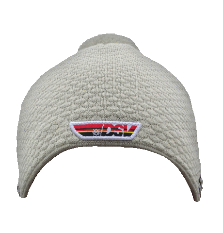 DSV - Deutscher Skiverband Sticker