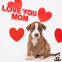 Mothers Day Hearts GIF by Best Friends Animal Society