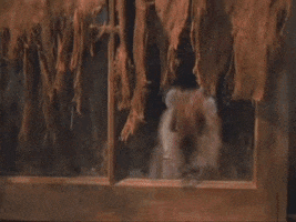 sivparker  GIF
