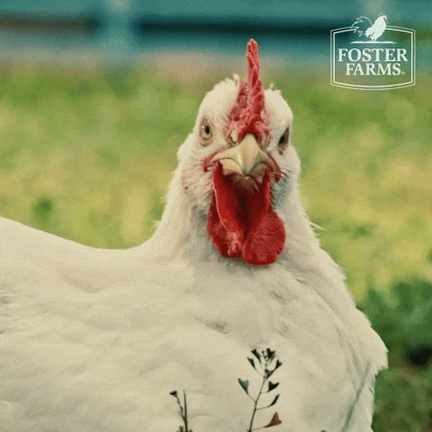 Foster Farms happy reaction fun yes GIF