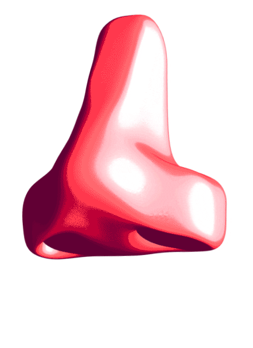 Face Nose Sticker by TildaEvent for iOS & Android GIPHY