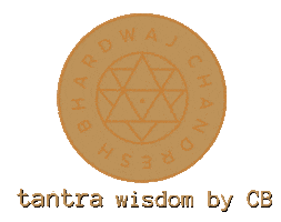 Meditation Wisdom Sticker by CBMeditates