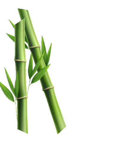 Summer Hair Sticker by PanteneGreece for iOS & Android | GIPHY Summer Hair Sticker by PanteneGreece for iOS & Android | GIPHY