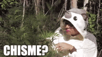 女の子 Gifs Get The Best Gif On Giphy 女の子 Gifs Get The Best Gif On Giphy