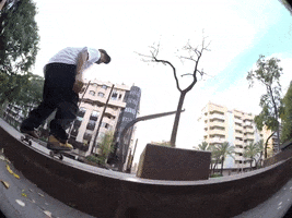 Tiago Lemos Skate GIF by New Balance Numeric