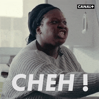 Series Cheh GIF by CANAL+