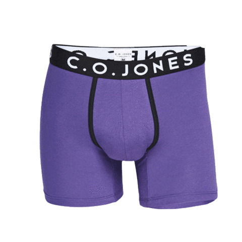Spain Underwear Sticker by C.O.JONES