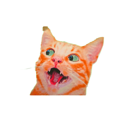 Cats Drop Sticker by Marathon Artists