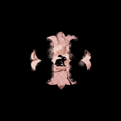 IRIS COSMETICS GIF