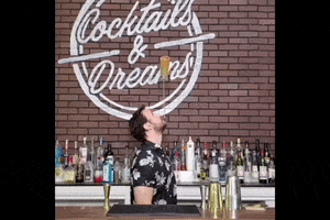 cdbartending bar cocktail cocktails bartender GIF