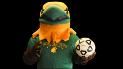 brockport soccer mascot eagle suny GIF