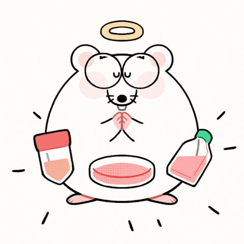 Mouse GIF