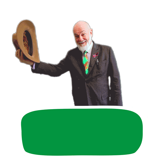 Climate Change Australia Sticker by Robin Chapple MLC