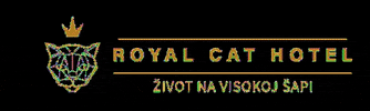 royalcathotel GIF