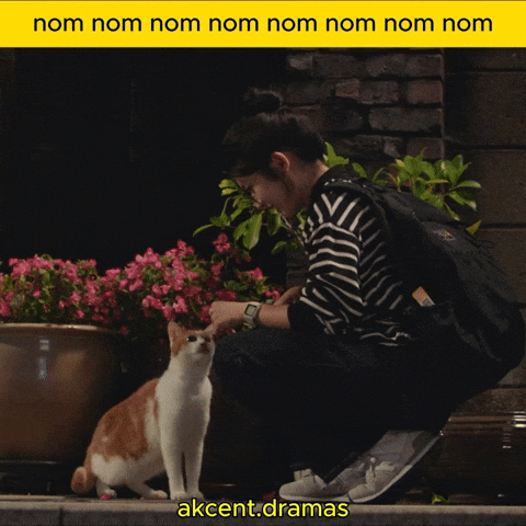 Nom Nom Cat GIF