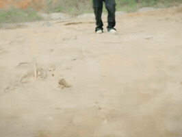 Thatoneparth GIF