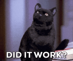 Season 4 Cat GIF by CBS All Access