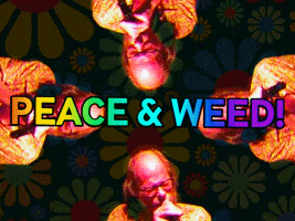 Weed Love GIF by Squirrel Monkey