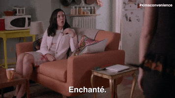 Nice To Meet You French GIF by Kim's Convenience
