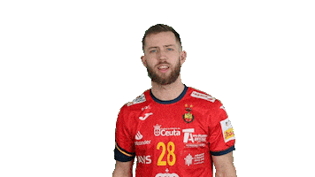 Real Federación Española de Balonmano Sticker