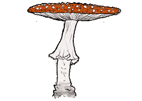 Mushroom Sticker