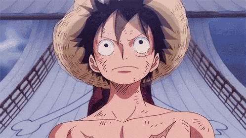 Luffy What Is It What Does It Mean