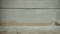 200w.gif
