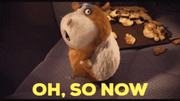 John Krasinski Omg GIF by The Animal Crackers Movie