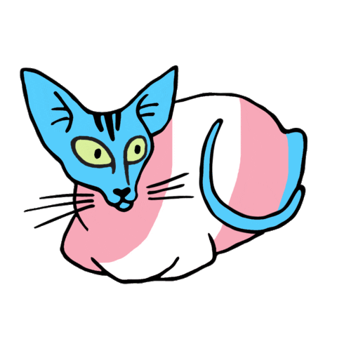 Cat Kitty Sticker