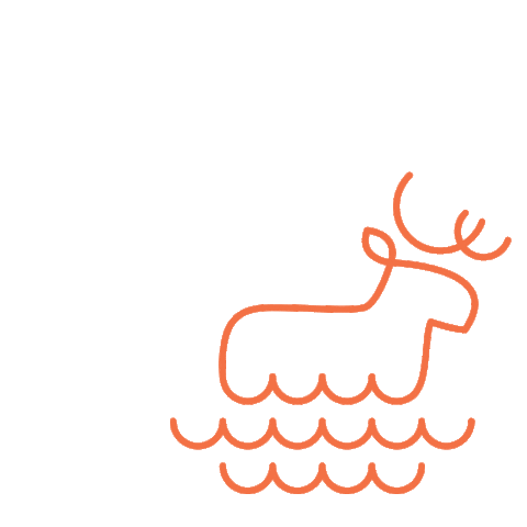 Swipeup Moose Sticker by BBLittles