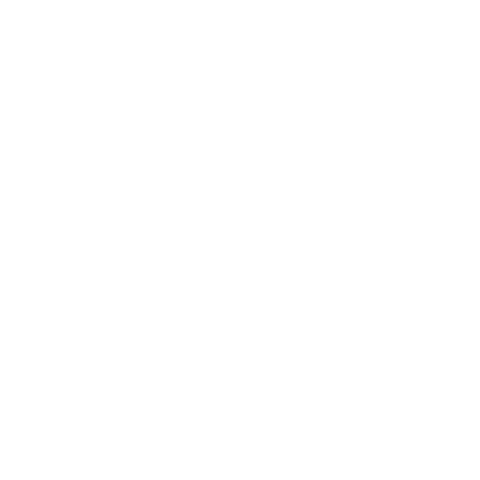 SchoenenZaken Sticker