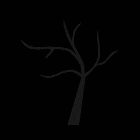 GIF by München Ticket