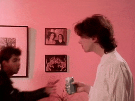 Fight For Your Right Drinking GIF by Beastie Boys